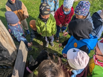 Zdjęcie WhatsApp 2025-09-28 o 20.37.02_31d9a645