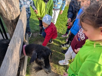 Zdjęcie WhatsApp 2025-09-28 o 20.37.01_3cdc2848