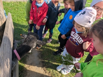 Zdjęcie WhatsApp 2025-09-28 o 20.37.01_5cbc83ce