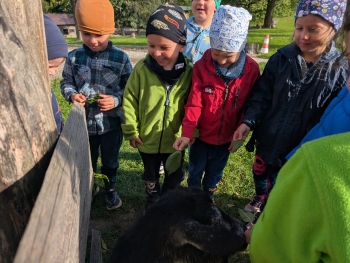 Zdjęcie WhatsApp 2025-09-28 o 20.37.02_0e06c0c5