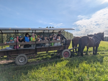 Zdjęcie WhatsApp 2025-09-28 o 20.37.00_109a73ce