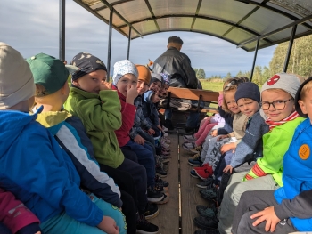 Zdjęcie WhatsApp 2025-09-28 o 20.37.01_87c7fa1e