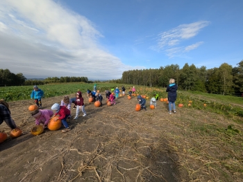 Zdjęcie WhatsApp 2025-09-28 o 20.36.51_bbae4190