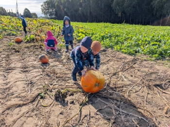 Zdjęcie WhatsApp 2025-09-28 o 20.36.51_b854f7b7