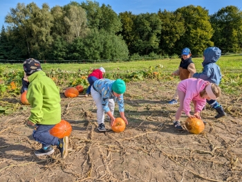 Zdjęcie WhatsApp 2025-09-28 o 20.36.52_5ded5875