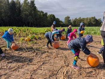 Zdjęcie WhatsApp 2025-09-28 o 20.36.52_261830fe