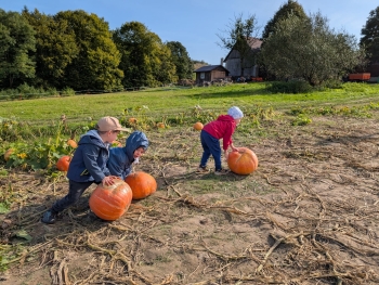 Zdjęcie WhatsApp 2025-09-28 o 20.36.52_d3a22ca8