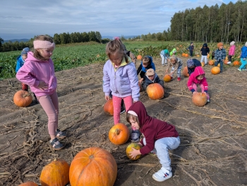 Zdjęcie WhatsApp 2025-09-28 o 20.36.50_2cdf7a25