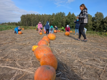 Zdjęcie WhatsApp 2025-09-28 o 20.36.50_66f67b6d