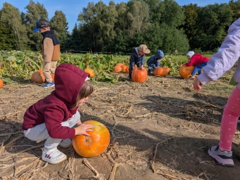 Zdjęcie WhatsApp 2025-09-28 o 20.36.51_31642b7e