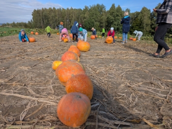 Zdjęcie WhatsApp 2025-09-28 o 20.36.51_ace7d0c8