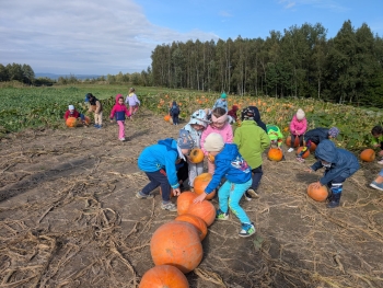 Zdjęcie WhatsApp 2025-09-28 o 20.36.50_0acbe980