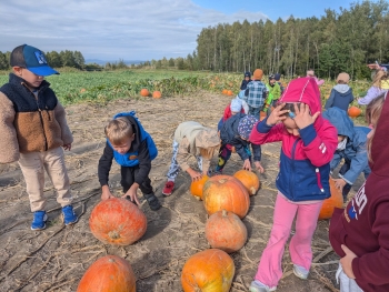 Zdjęcie WhatsApp 2025-09-28 o 20.36.50_763d96e6