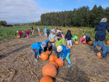 Zdjęcie WhatsApp 2025-09-28 o 20.36.50_9270dca1