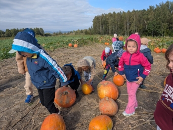 Zdjęcie WhatsApp 2025-09-28 o 20.36.50_33805ea8