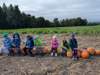 Zdjęcie WhatsApp 2025-09-28 o 20.36.48_1ad45b8e