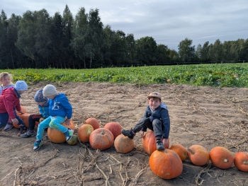 Zdjęcie WhatsApp 2025-09-28 o 20.36.49_3edf5515