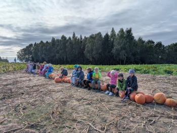 Zdjęcie WhatsApp 2025-09-28 o 20.36.48_3ac6f994