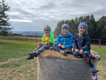 Zdjęcie WhatsApp 2025-09-28 o 20.36.45_2ac6a003