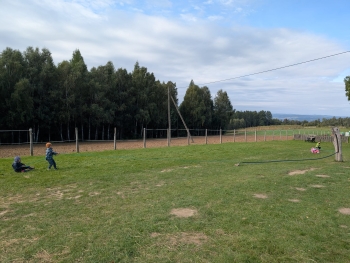 Zdjęcie WhatsApp 2025-09-28 o 20.36.44_b76d3e80