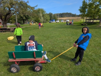 Zdjęcie WhatsApp 2025-09-28 o 20.36.42_e61171f2