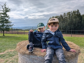 Zdjęcie WhatsApp 2025-09-28 o 20.36.43_45303da4