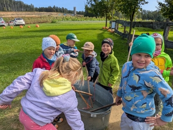 Zdjęcie WhatsApp 2025-09-28 o 20.36.43_f38318cf