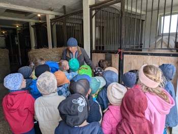 Zdjęcie WhatsApp 2025-09-28 o 20.36.42_2cef459b