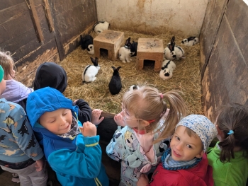 Zdjęcie WhatsApp 2025-09-28 o 20.36.41_254638b9