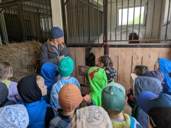 Zdjęcie WhatsApp 2025-09-28 o 20.36.42_baae6213