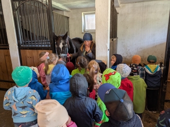 Zdjęcie WhatsApp 2025-09-28 o 20.36.40_8f580c1a