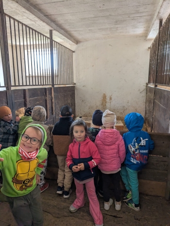 Zdjęcie WhatsApp 2025-09-28 o 20.36.40_c04f3904