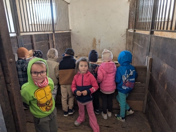 Zdjęcie WhatsApp 2025-09-28 o 20.36.40_cca0e0cc