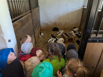 Zdjęcie WhatsApp 2025-09-28 o 20.36.41_4c9f43e1