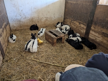 Zdjęcie WhatsApp 2025-09-28 o 20.36.41_5a96e358