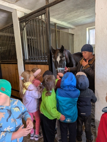 Zdjęcie WhatsApp 2025-09-28 o 20.36.40_0671d657