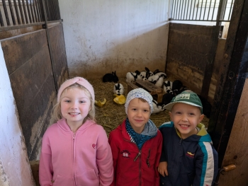 Zdjęcie WhatsApp 2025-09-28 o 20.36.40_2797d7cd