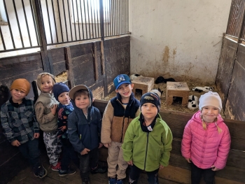 Zdjęcie WhatsApp 2025-09-28 o 20.36.40_d3491c71