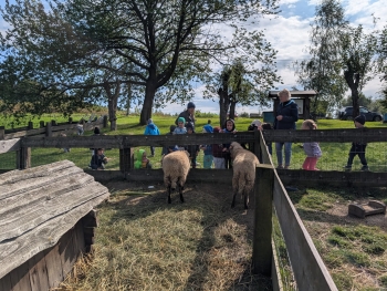 Zdjęcie WhatsApp 2025-09-28 o 20.36.38_21dfcd87