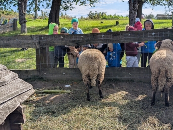 Zdjęcie WhatsApp 2025-09-28 o 20.36.39_0ec19d32