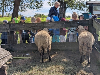 Zdjęcie WhatsApp 2025-09-28 o 20.36.39_302763d1