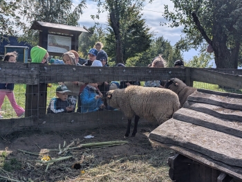 Zdjęcie WhatsApp 2025-09-28 o 20.36.39_9b1b10b2