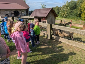 Zdjęcie WhatsApp 2025-09-28 o 20.36.39_56066626