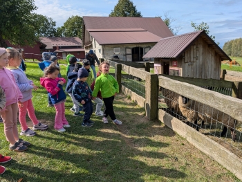 Zdjęcie WhatsApp 2025-09-28 o 20.36.39_d4e9c867