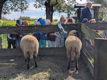 Zdjęcie WhatsApp 2025-09-28 o 20.36.39_e049fafc