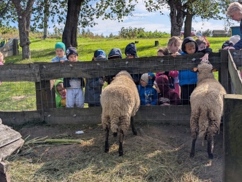 Zdjęcie WhatsApp 2025-09-28 o 20.36.38_7f9ea458