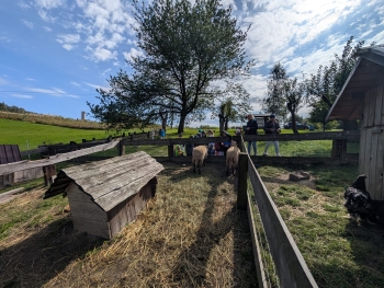 Zdjęcie WhatsApp 2025-09-28 o 20.35.41_97ea81bf