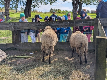 Zdjęcie WhatsApp 2025-09-28 o 20.35.41_841b49b5