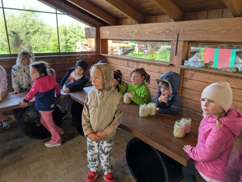 Zdjęcie WhatsApp 2025-09-28 o 20.35.39_25a91a70