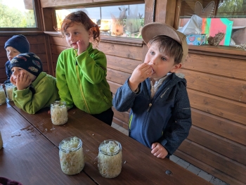 Zdjęcie WhatsApp 2025-09-28 o 20.35.37_71e43845